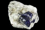 Lazurite Crystal in Marble Matrix - Afghanistan #111765-1